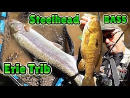 Late Season Erie Steelhead & Smallmouth Bass
