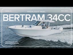 All New Bertram 34CC