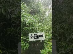မိုးဖြူမစဲ #experiencesharing