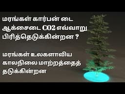 Trees & global climate change in Tamil 🌳Vijayakrishna VK🌳 மரங்கள் மற்றும் பருவநிலை மாற்றமும்
