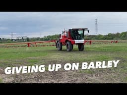 BARLEY NO GOOD TIME TO WRITE OFF & START AGAIN AnswerAsAPercent 1861