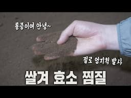 빠지면 헤어 나올 수 없는 만병통치약 ‘쌀겨 효소 찜질’♨