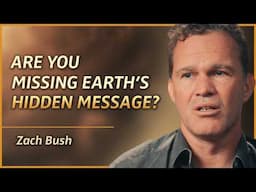 6 Powerful Lessons Nature Teaches Us About Being Human | Zach Bush