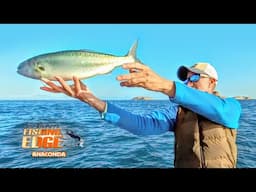 Epic Islands, Endless Feeding Fish - Light Tackle Madness