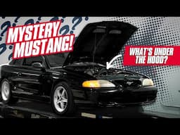 Stroker 302?! Mystery Modded 1995 Mustang GTS Hits the Dyno!
