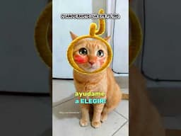 de que color me queda mejor? soy Teletubi!😂😹 #humordegatos