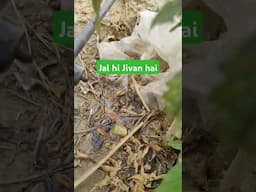 जल ही जीवन है | Best irrigation System | #shorts #viralvideo