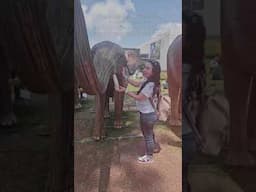 De todas las mujeres que podría haber sido Que privilegio ser aquella que fue encontrada por Jesús.