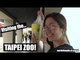 Visiting the TAIPEI ZOO (with milk tea in hand)