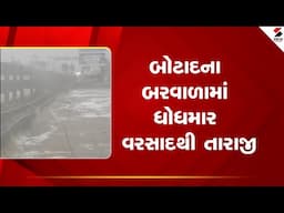 Botad Rain | બોટાદના બરવાળામાં ધોધમાર વરસાદથી તારાજી | Gujarat | Rain | Sandesh News