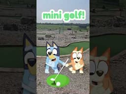 Bluey ABC- M is For Mini Golf! ⛳️ #bluey #abcd #minigolf #kidsabc