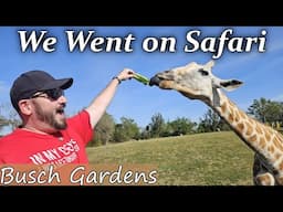 We Went on Safari in the Heart of Tampa!