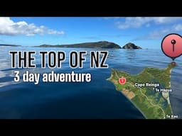 Adventure to the top of NZ / VLOG style #fishing #adventure #vlog