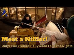 Meeting a Niffler During Fan Fest Nights