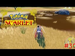Pokemon Scarlet Part 30: BB Questing