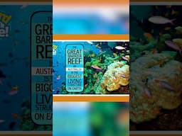 Did you know these facts about the ocean?! 🌊 #WeirdButTrue #NatGeoKids