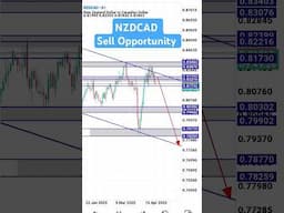 NZDCAD Forex Trade | Sell NZDCAD today #forex #trading #nzdcad #shorts
