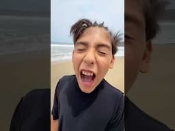 ¡Grandes aventuras con Monster Trucks! 🏖️😱 | Leo Study