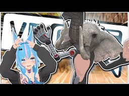 ELEPHANTS ARE PEOPLE?!?!? - VRChat (Funny Moments)