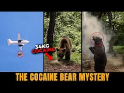 The Real Cocaine Bear Story | Truth Behind the Viral Movie