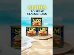 SPAM® Brand x Stitch: Breakthrough