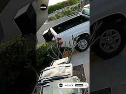 idiots in cars #shorts