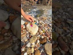 Sea Agate and Sea Crystal: Finding Hidden Treasures on the Shore and rare pearl