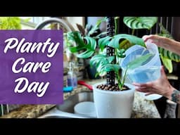 My REAL Unedited Plant Care Routine
