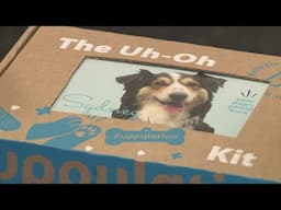 St. Louis-area entrepreneurs create at-home emergency kit for dogs