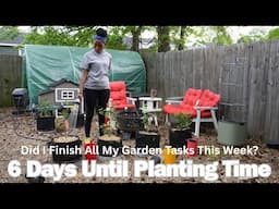 Planting My First Citrus Trees + Greenhouse Tour | VA, Zone 7B (BrokeFarmer Inspo)