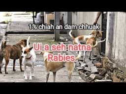 Ui seh chungchanga hriat tur pawimawh te