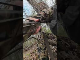 Incredible live hen calls in Tom for us!