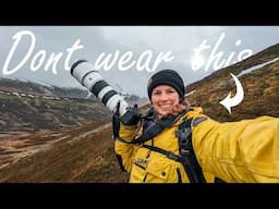 What I learnt in my first year as a wildlife photographer.
