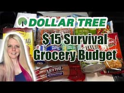 Eating for $15 a Week from Dollar Tree | Survival Budget Meal Plan