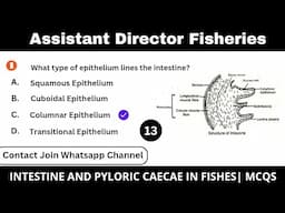 Intestine and Pyloric Caeca|| Assistant Director Fisheries MCQS|AD Fisheries preparation |Past Paper