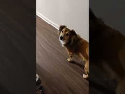 Play! Now!