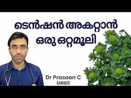 റോഡിയോള 💪 Did You Know Rhodiola Can Relieve Stress? Discover Its Full Benefits! 🩺 Malayalam