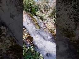 Amazing Waterfall, Croatia!🇭🇷 #short #shorts #viralvideo #shortsfeed #viralshorts #shortsvideos