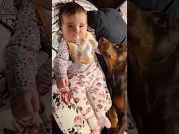 What Happens When You Leave a Doberman Alone with Kids