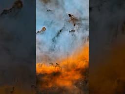 Elephant Trunk Nebula vs. Solar System (My Latest Astrphoto)🌌🚀