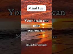 Your Brain Misses Them… Even When They Were Toxic 🧠💔