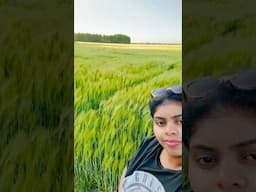 What happened to the supposedly most scenic road in sweden? #malayalamvlog #travel#trending #sweden