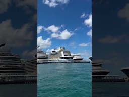 How many ships did you count in Nassau? 🤓 #cruiseships #carnivalcruise #msccruises #royalcaribbean