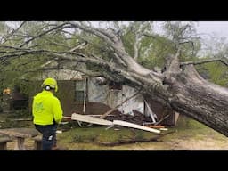 Giant oak tree destroyed this house