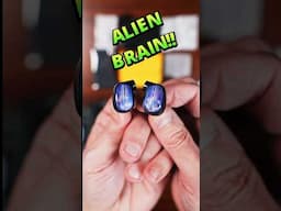NEW CFA Alien Brain IEM | Unbox!!