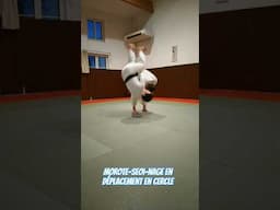 Morote-seoi-nage en déplacement en cercle par Pierre Paulin senseï #judo