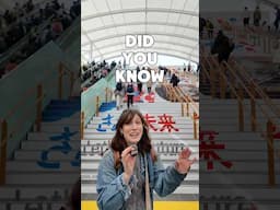 PSA if you’re going to the Osaka World Expo!~ 🏝️🇯🇵