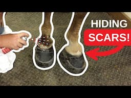 Hiding BIG LICK Scars!