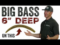 SNEAKY Shallow Water Fishing Secret! STOP Missing HUGE Summer Bass