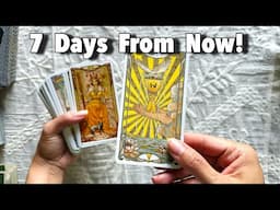 You Will See This Happen in 7 days!
